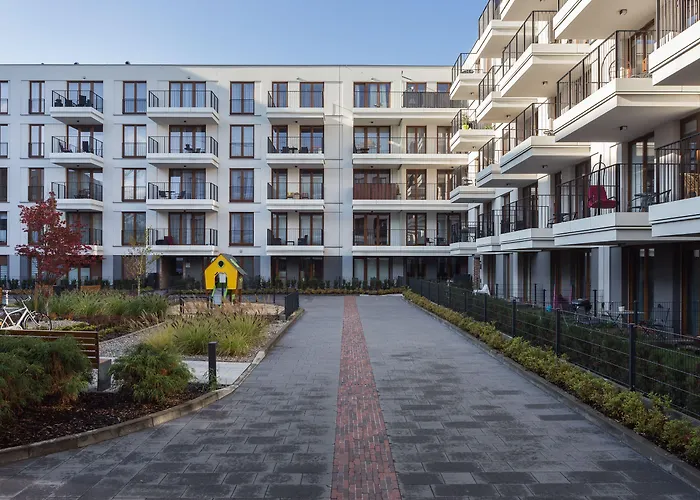 Of The Kings-bacalar Cracovie