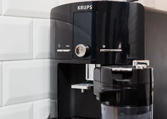 Of The Kings-bacalar *