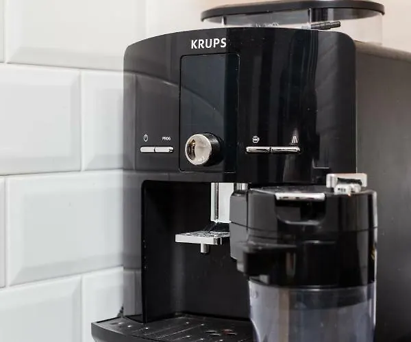 Of The Kings-bacalar