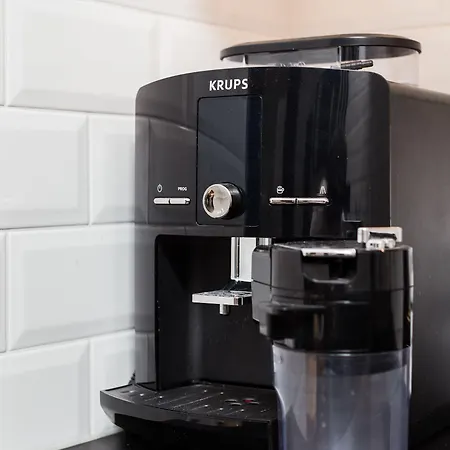 Of The Kings-bacalar *